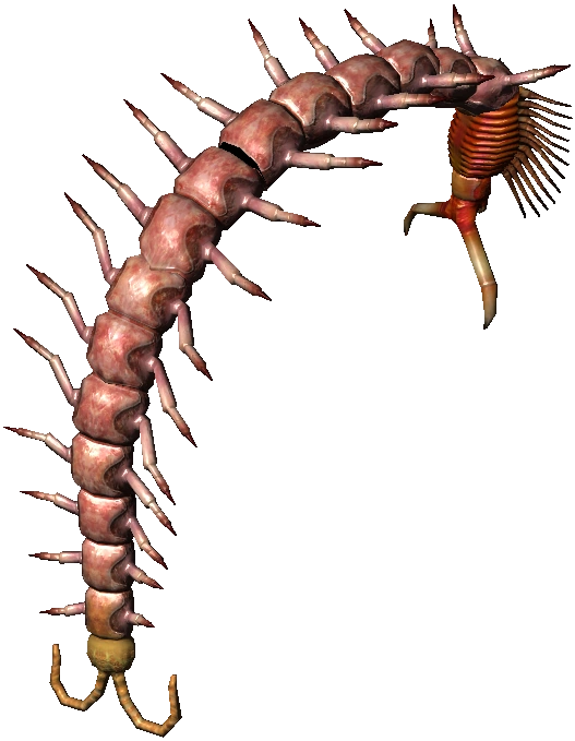 Bestiary Centipede full