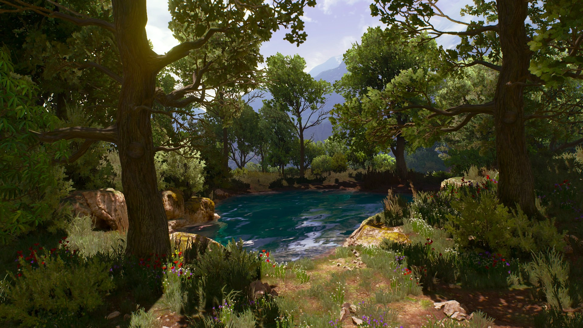 НезаметнаяПолянаВ3