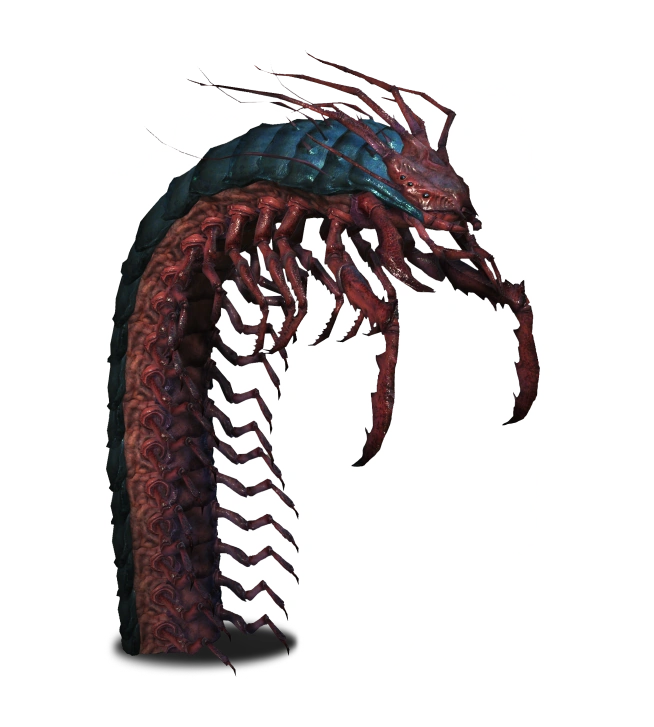 СколопендроморфВ3