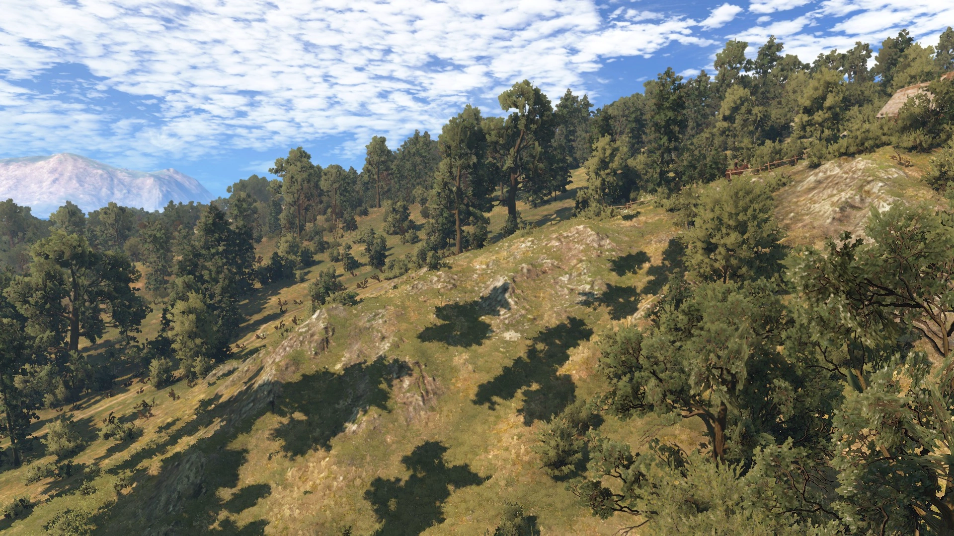 ХолмыБуковиныВ3