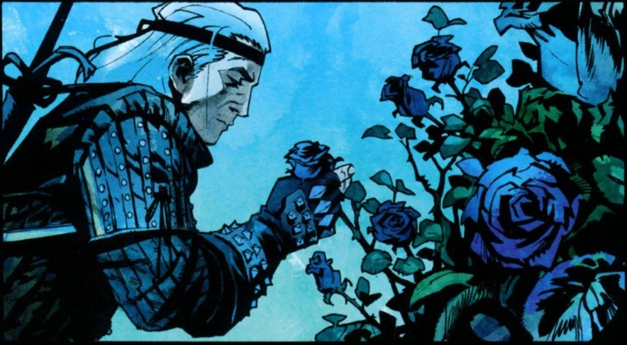 Назаирские розы в поместье Нивеллена, комикс «»