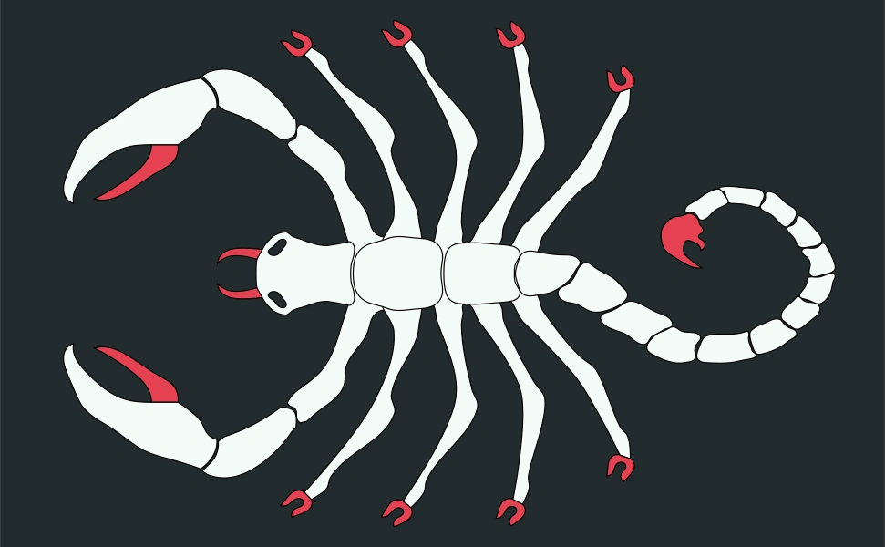 Флаг Даэрлянской бригады