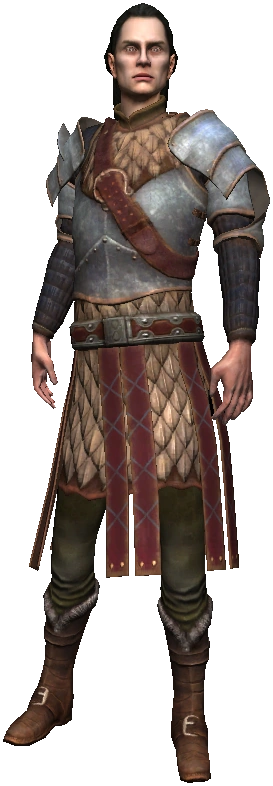 Осужденый эльфВ1