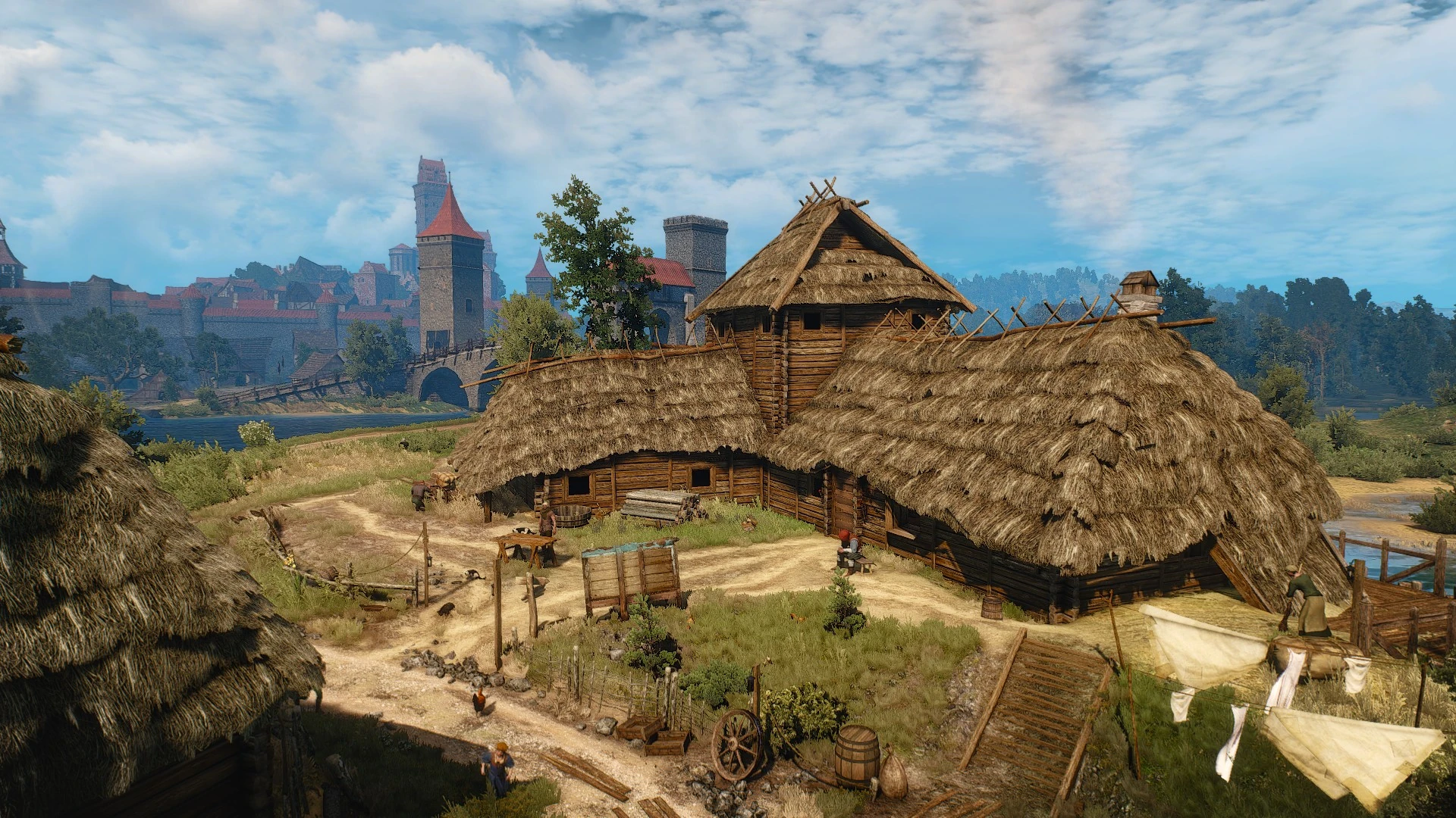 Семь котов1В3