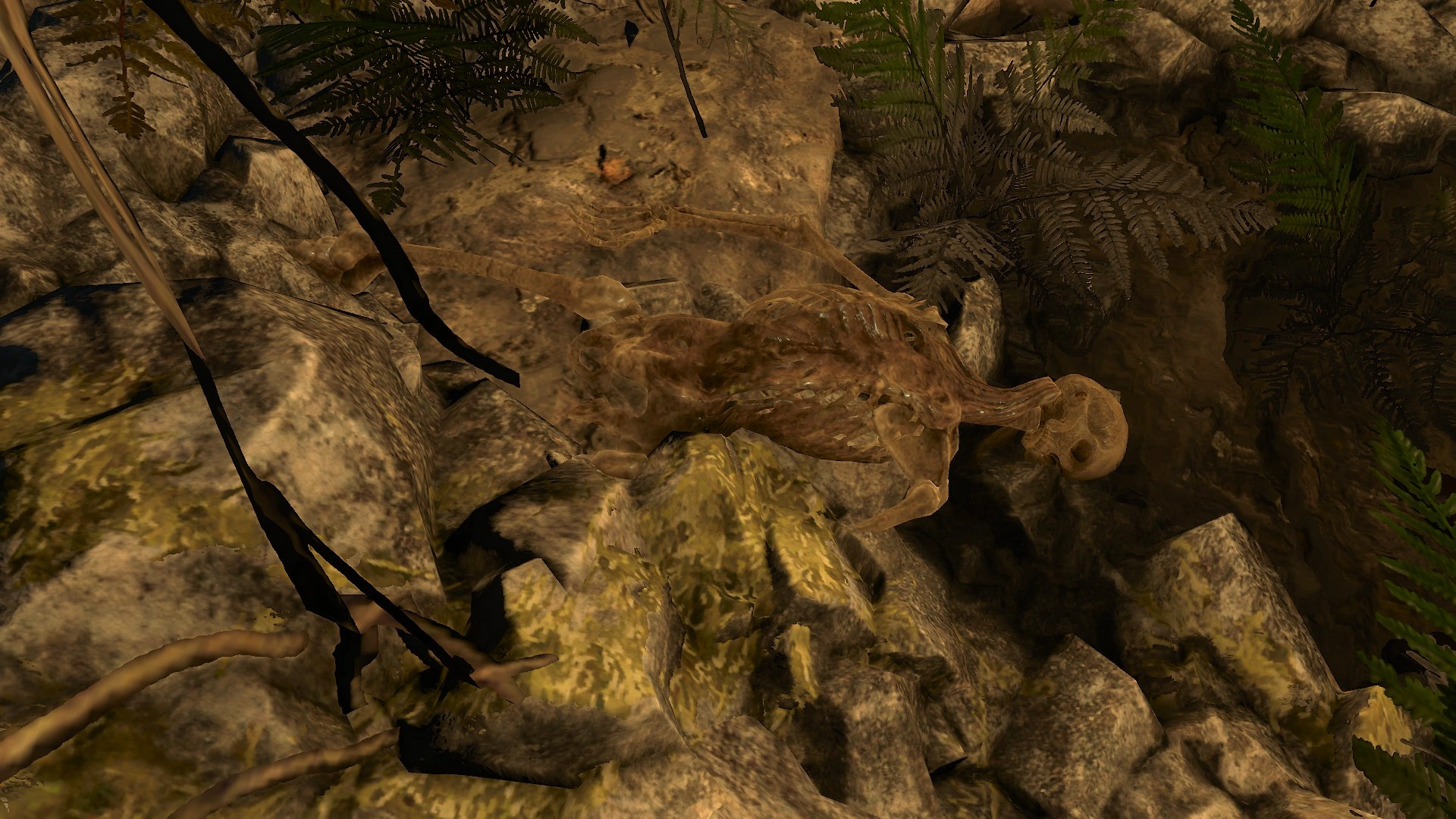 ИеронимусВ3