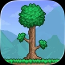 Terraria